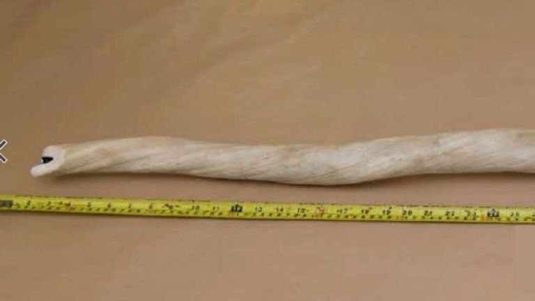 Narwhal tusk found after the terrorist attack on London Bridge.  Pic: Police met