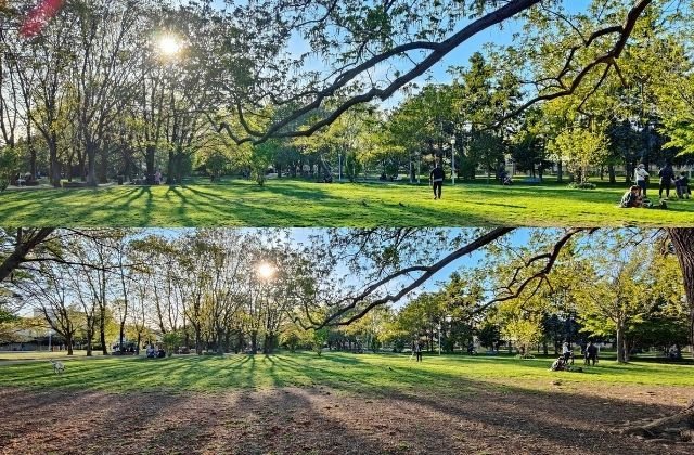 From top to bottom: photo taken with the Oppo Find X3 with the wide angle lens, and ultra wide angle (Faustine Mazereeuw)