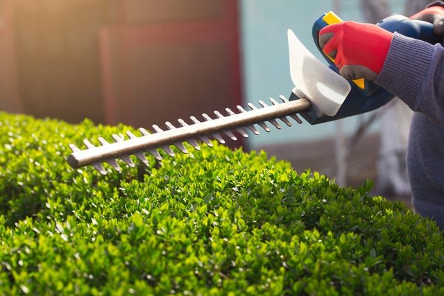 The 6 best cordless hedge trimmers of 2021: get your garden ready for spring with these long-reach hedge trimmers