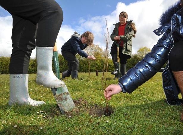 Children at Pelton Community Primary School, Pelton, County Durham planting 400 trees