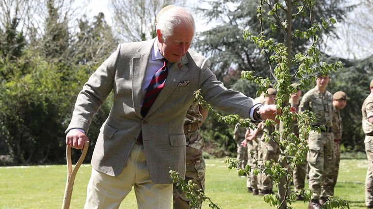 Prince Charles described the project as 'tree bile'
