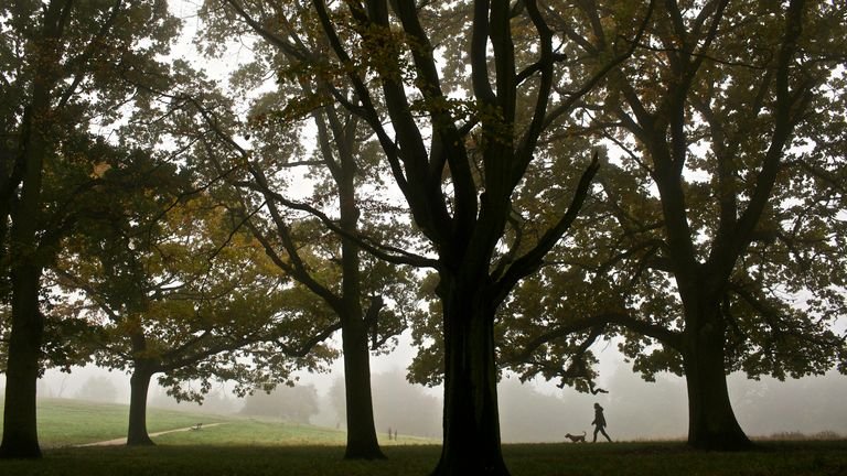 A woman walks her dog past colorful autumn trees as they are shrouded in mist over Hampstead Heath, London on Tuesday October 23, 2012. (AP Photo / David Azia)