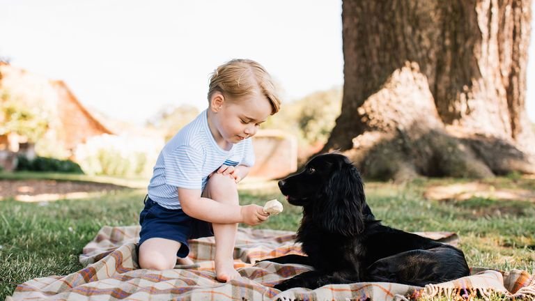 Prince George gives ice cream to a dog