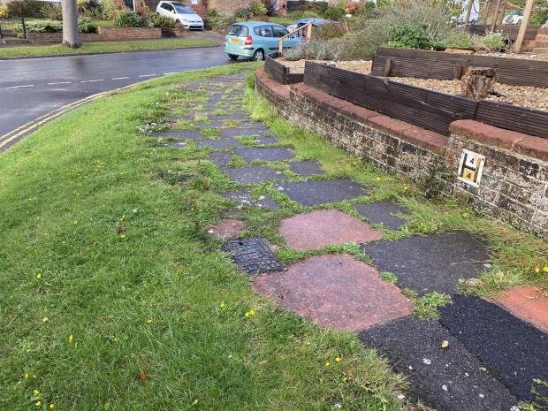 The Argus: Weeds at the junction of Greenfield Crescent and Wilmington Way