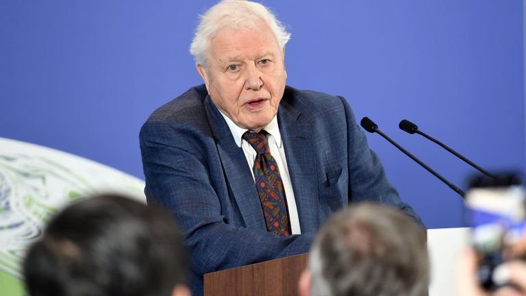 David Attenborough attends a conference on the COP26 UN Climate Summit, in London