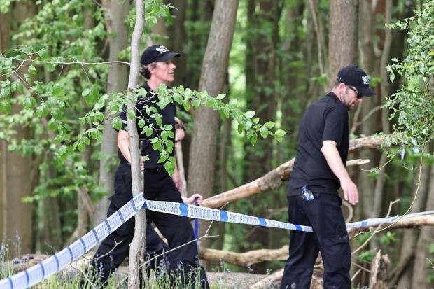 The Argus: the police photographed sweeping a wooded area 