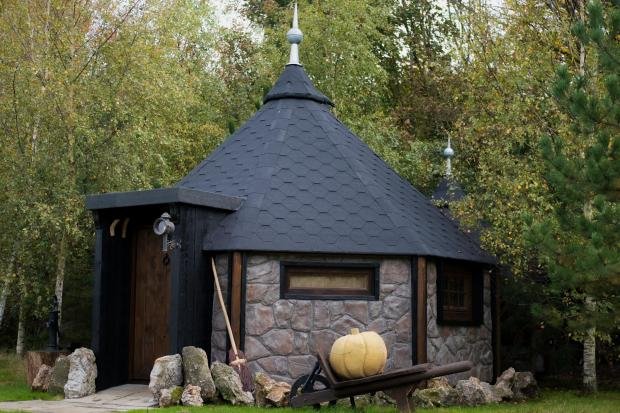 Times Series: The Hagrid Hut Inspired Hut.  Photo: unusual host.