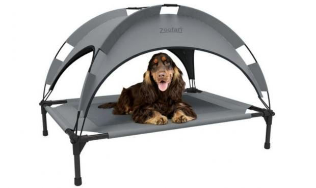 Times Series: Zoofari dog bed with umbrella (Lidl)