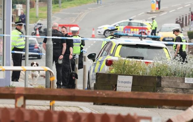 The Argus: Police appeal for witnesses in fatal crash on the A259 at Peacehaven 
