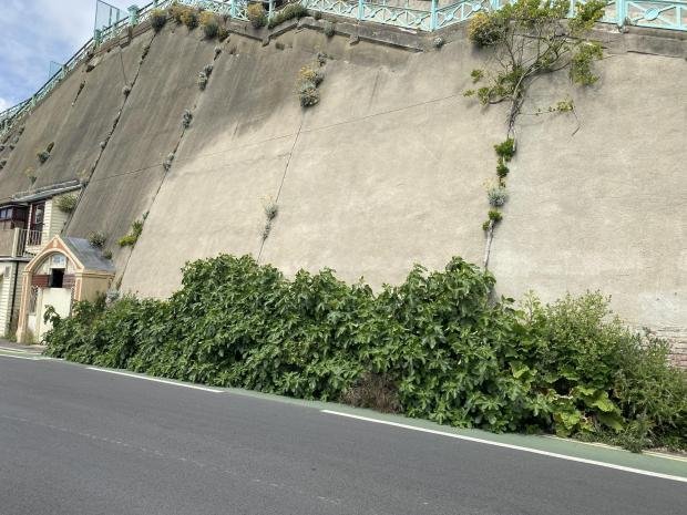 L'Argus: An audit was ordered after a degradation of the green wall